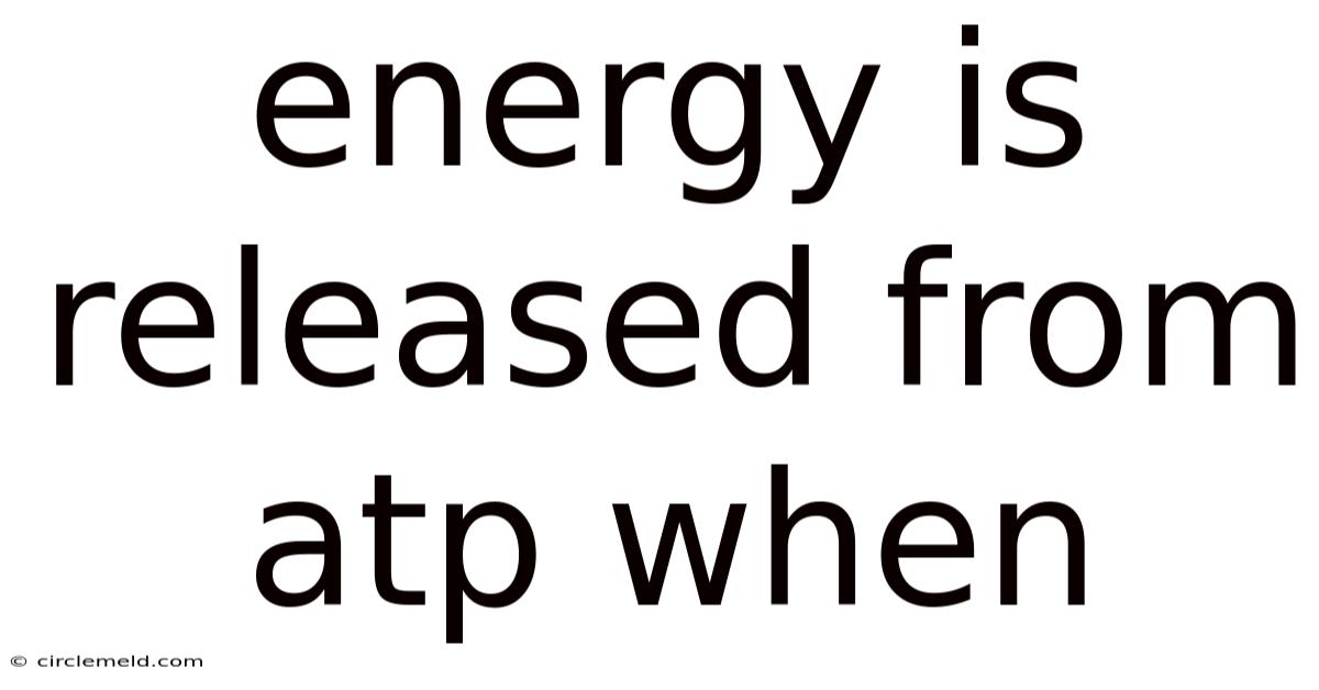 Energy Is Released From Atp When