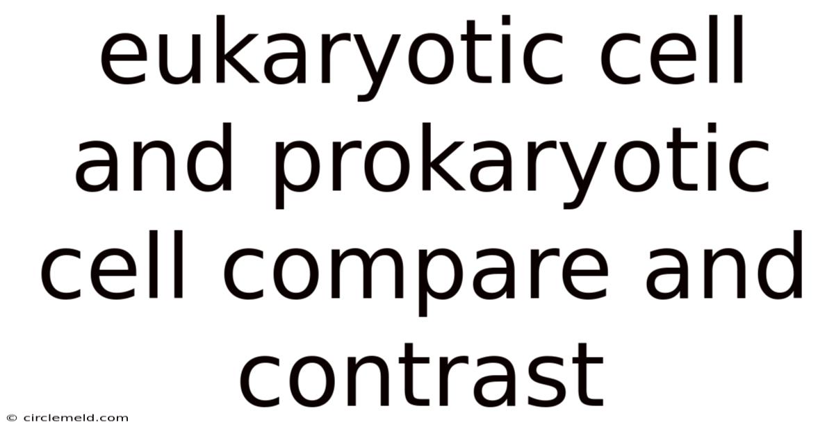 Eukaryotic Cell And Prokaryotic Cell Compare And Contrast