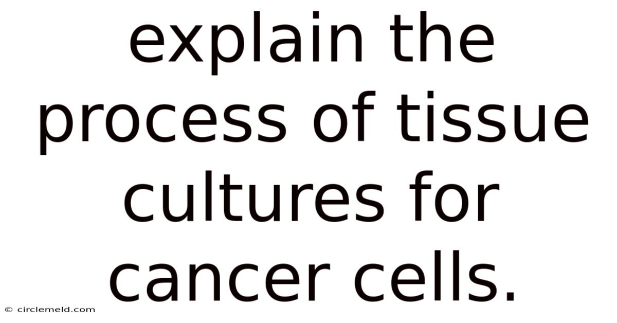 Explain The Process Of Tissue Cultures For Cancer Cells.