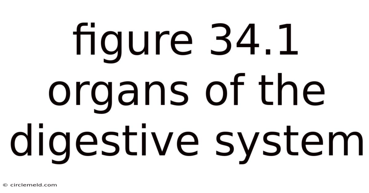Figure 34.1 Organs Of The Digestive System