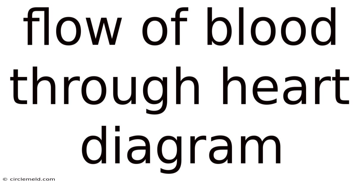 Flow Of Blood Through Heart Diagram