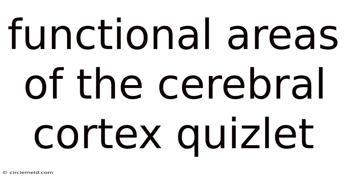 Functional Areas Of The Cerebral Cortex Quizlet
