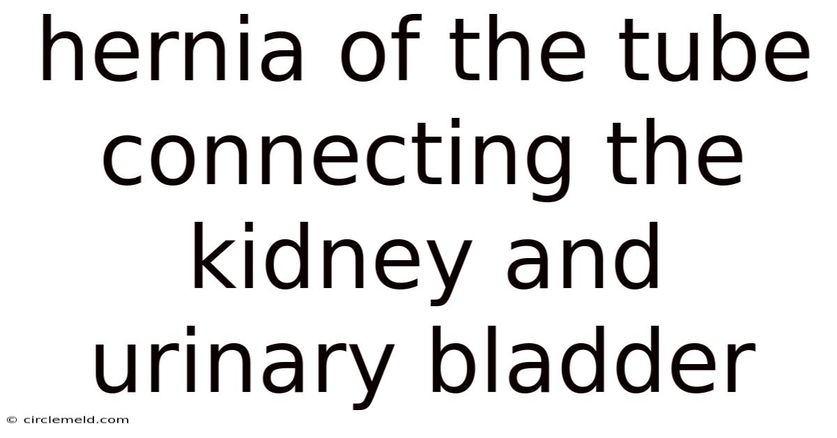 Hernia Of The Tube Connecting The Kidney And Urinary Bladder