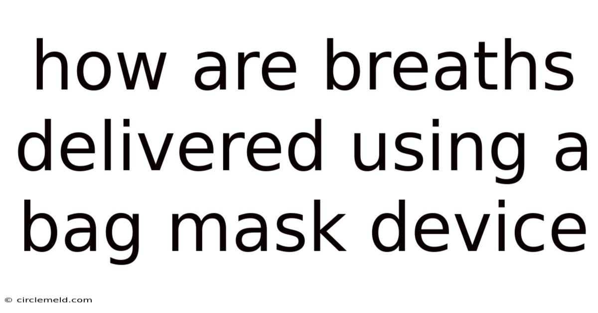 How Are Breaths Delivered Using A Bag Mask Device