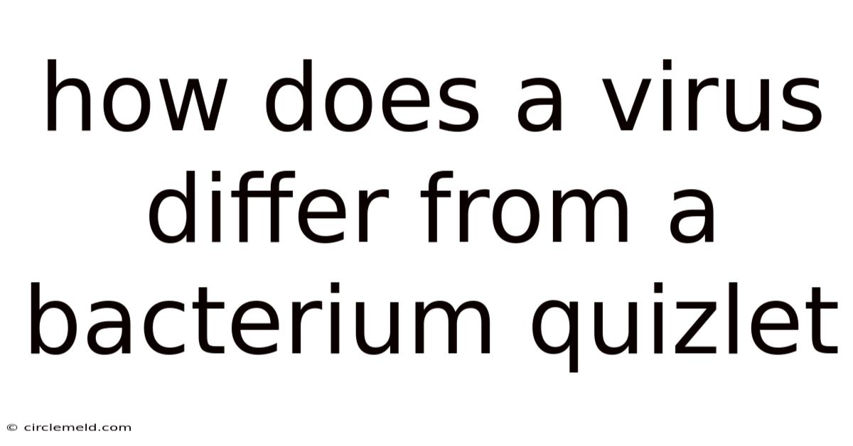 How Does A Virus Differ From A Bacterium Quizlet
