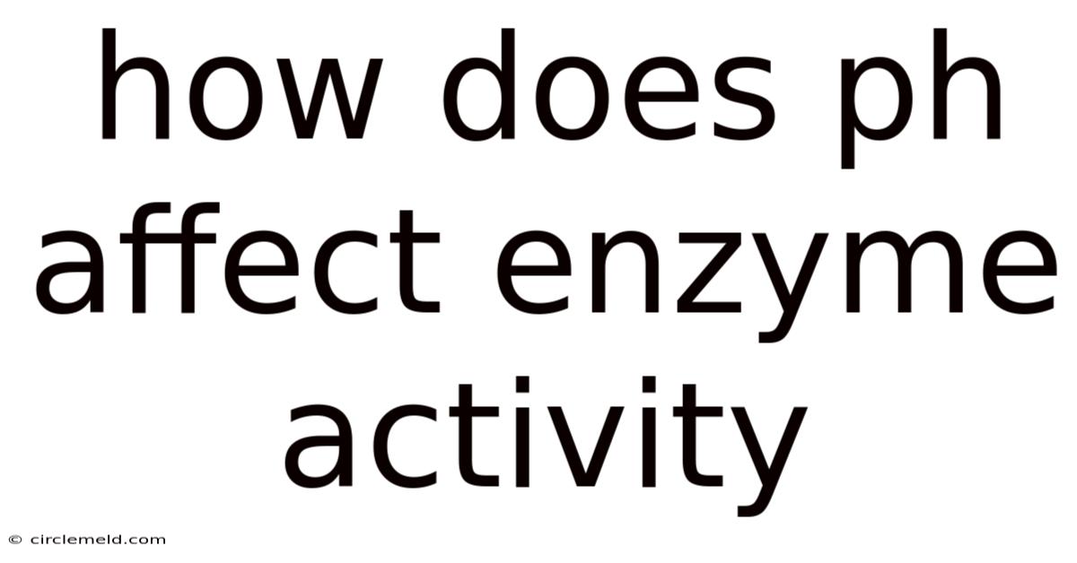 How Does Ph Affect Enzyme Activity