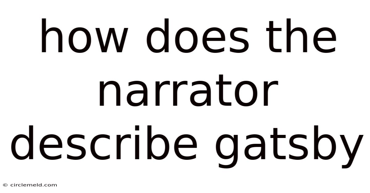 How Does The Narrator Describe Gatsby