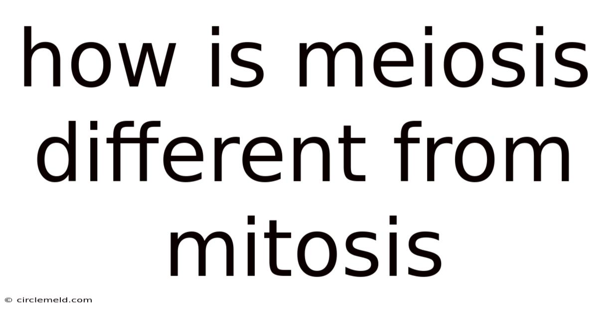 How Is Meiosis Different From Mitosis