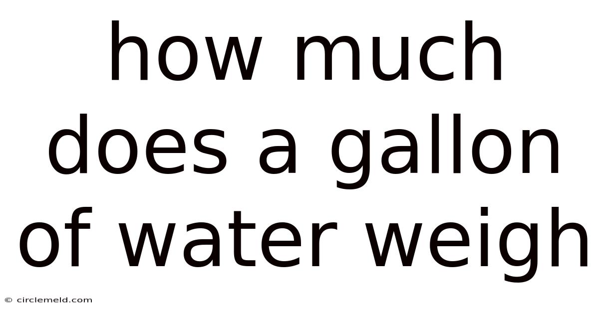 How Much Does A Gallon Of Water Weigh