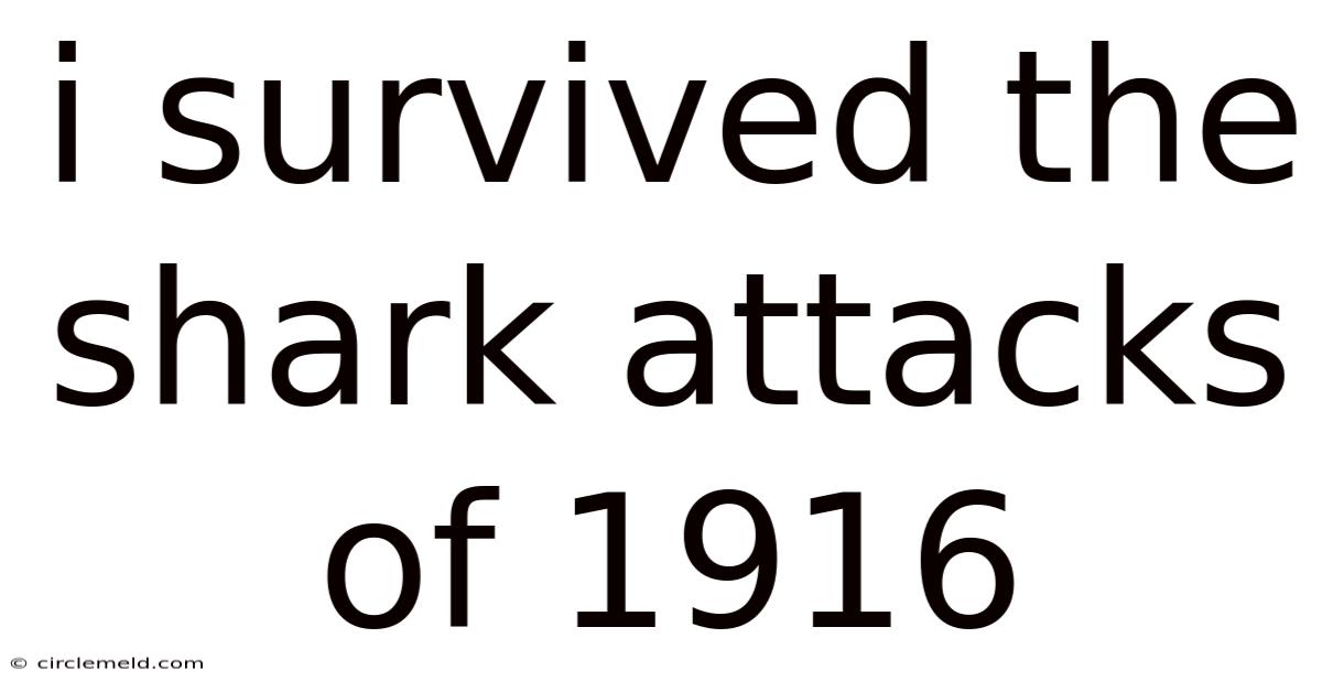 I Survived The Shark Attacks Of 1916