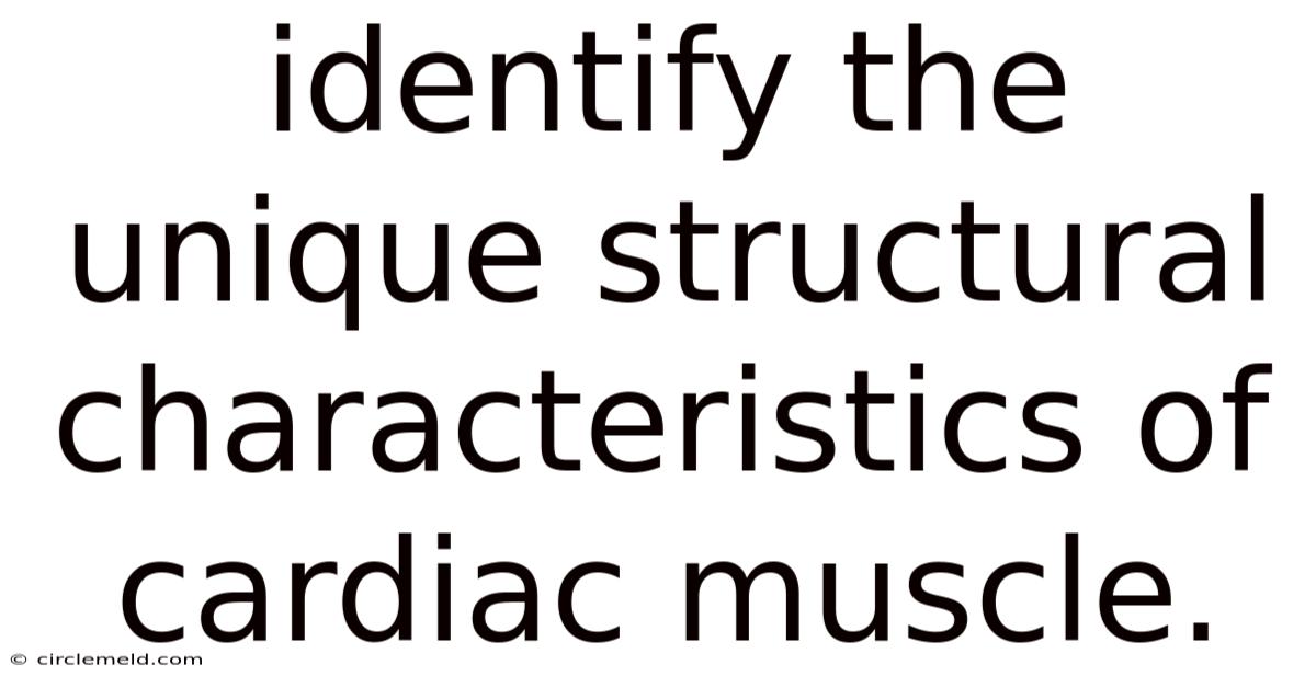 Identify The Unique Structural Characteristics Of Cardiac Muscle.