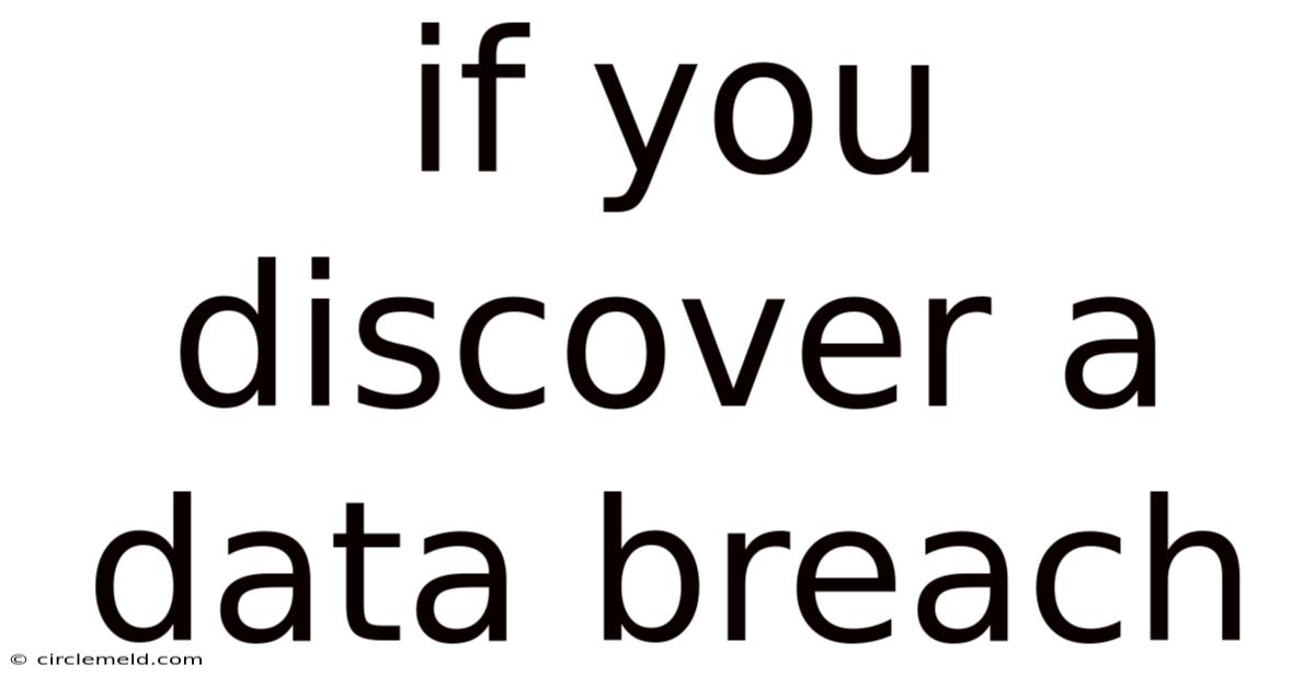 If You Discover A Data Breach