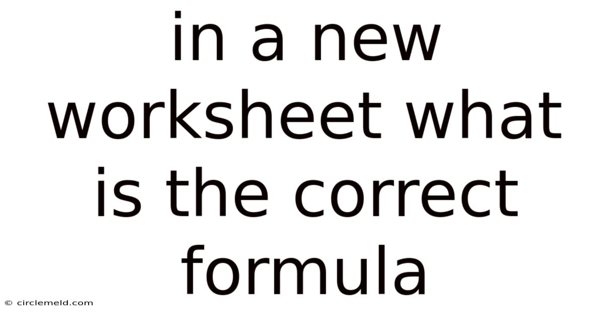 In A New Worksheet What Is The Correct Formula
