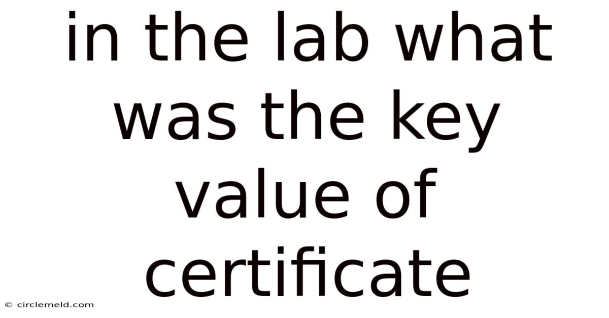 In The Lab What Was The Key Value Of Certificate