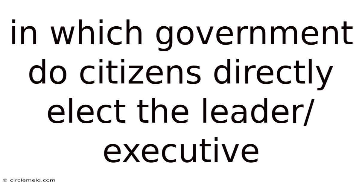 In Which Government Do Citizens Directly Elect The Leader/executive