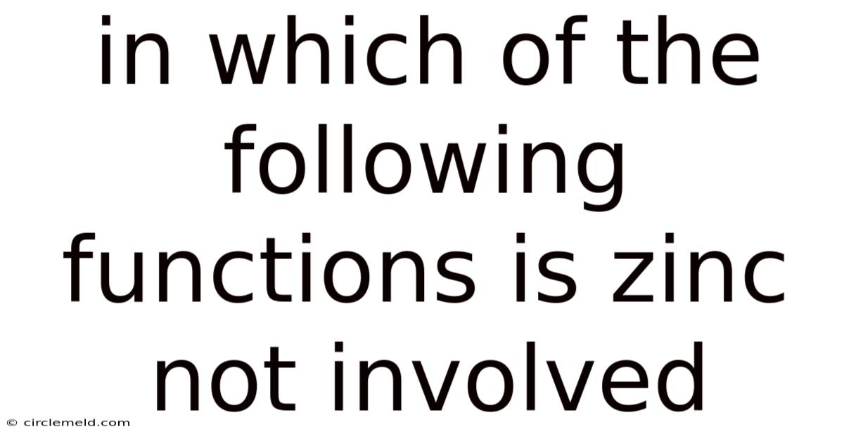 In Which Of The Following Functions Is Zinc Not Involved
