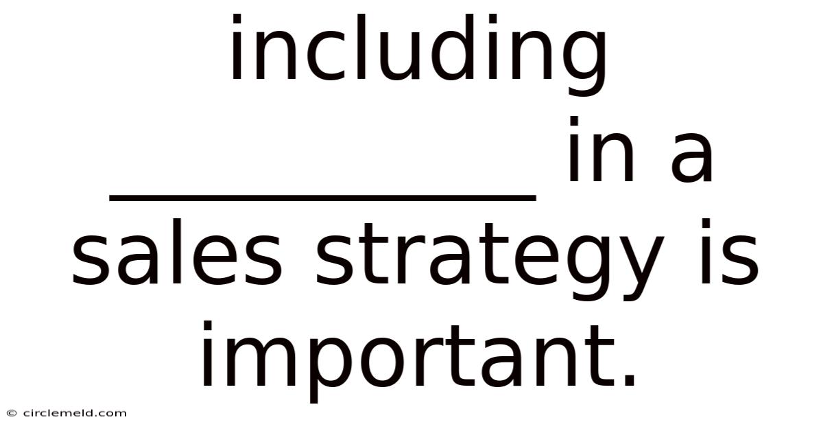 Including __________ In A Sales Strategy Is Important.