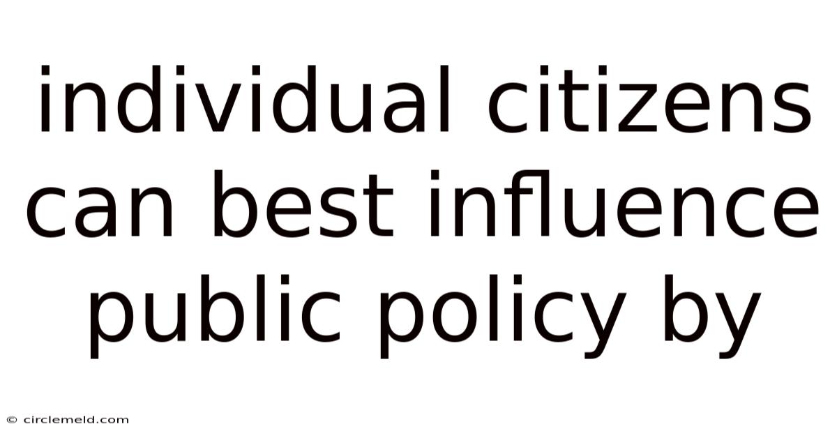 Individual Citizens Can Best Influence Public Policy By