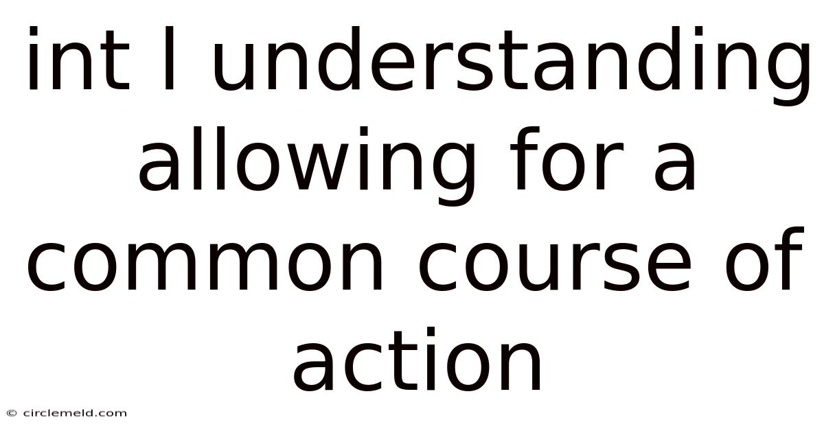Int L Understanding Allowing For A Common Course Of Action