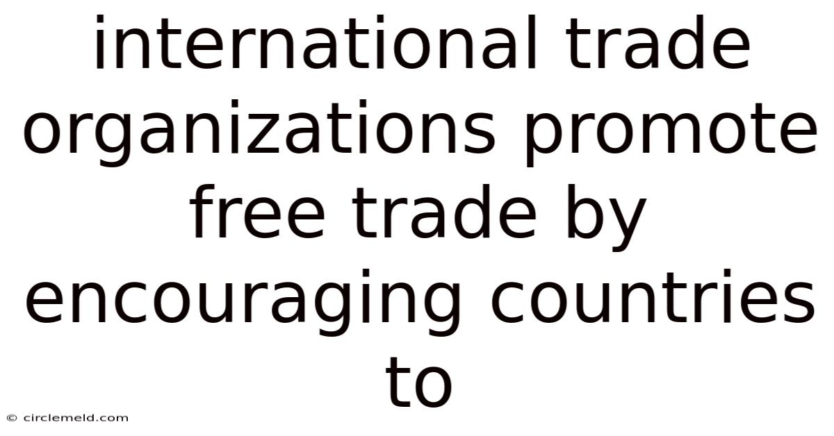 International Trade Organizations Promote Free Trade By Encouraging Countries To