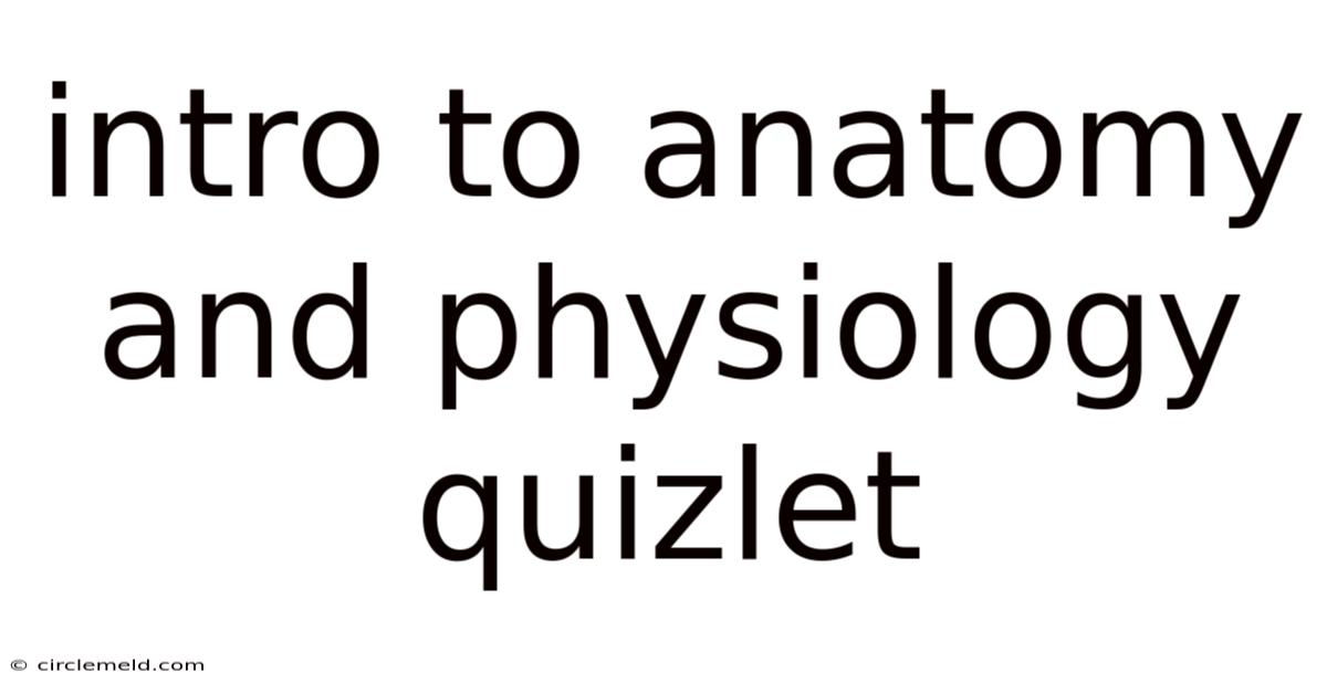 Intro To Anatomy And Physiology Quizlet