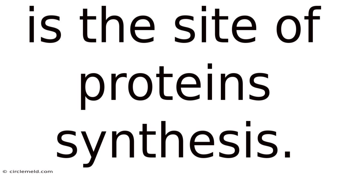 Is The Site Of Proteins Synthesis.