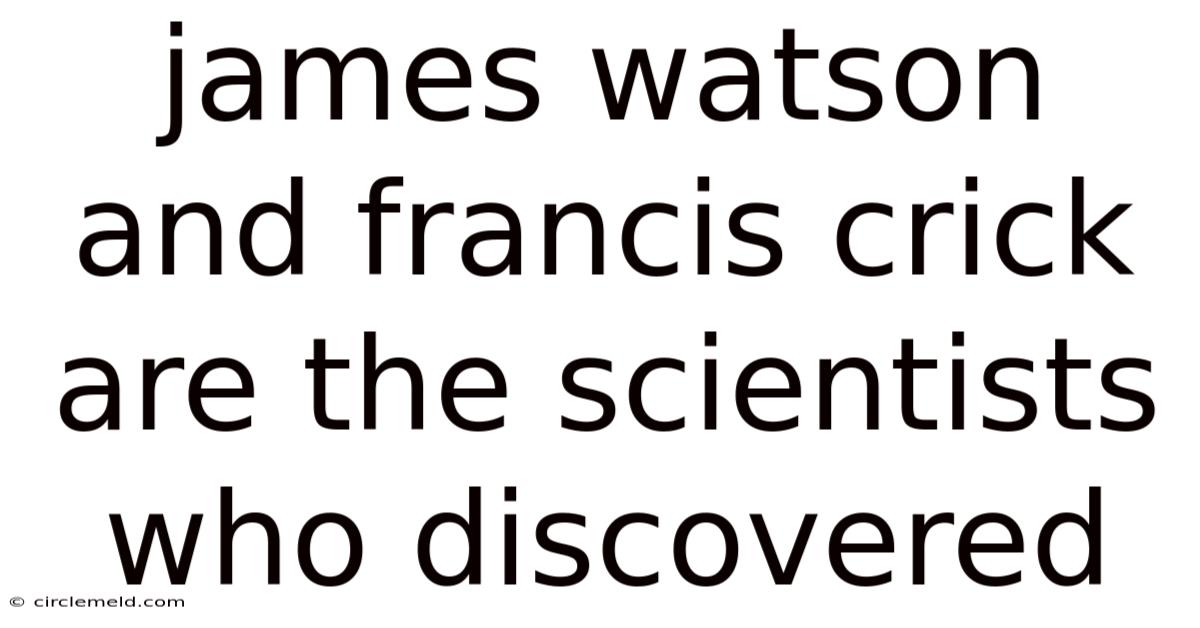 James Watson And Francis Crick Are The Scientists Who Discovered