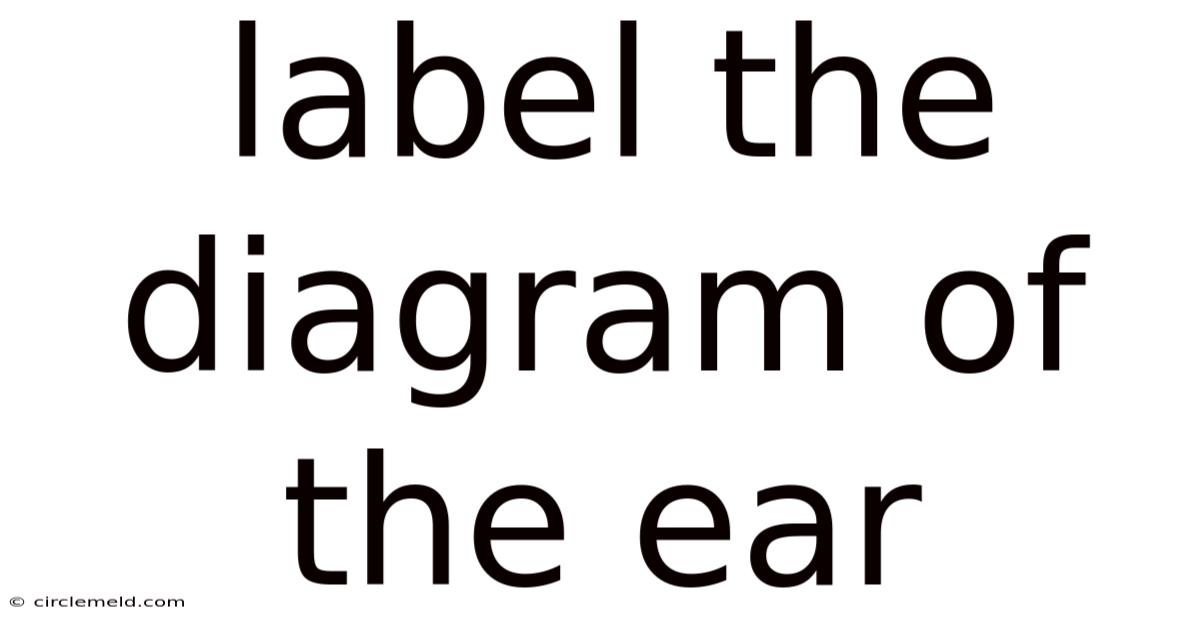 Label The Diagram Of The Ear