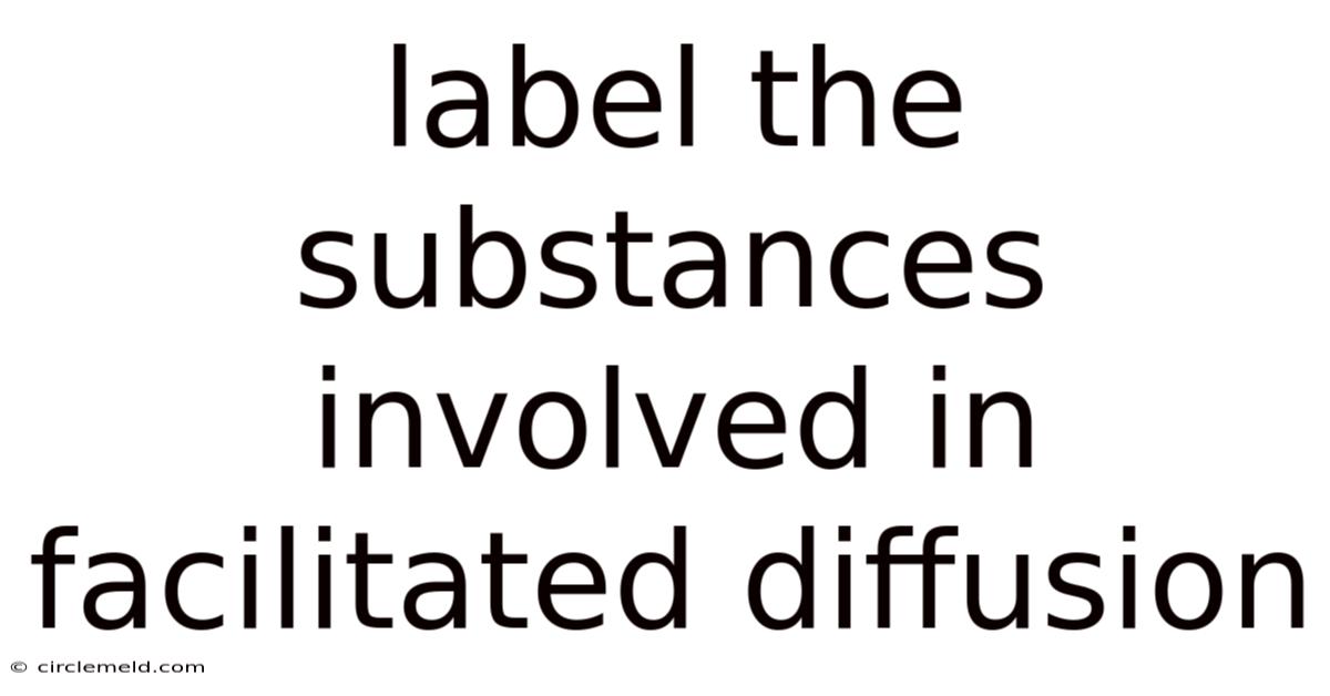 Label The Substances Involved In Facilitated Diffusion
