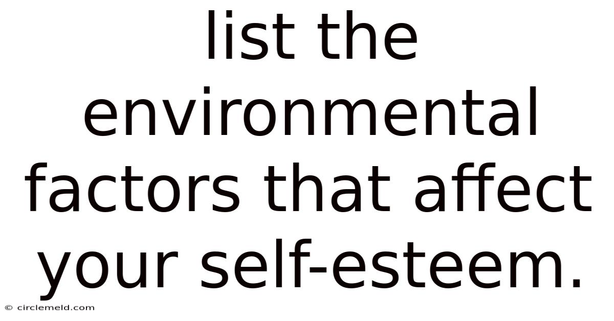 List The Environmental Factors That Affect Your Self-esteem.