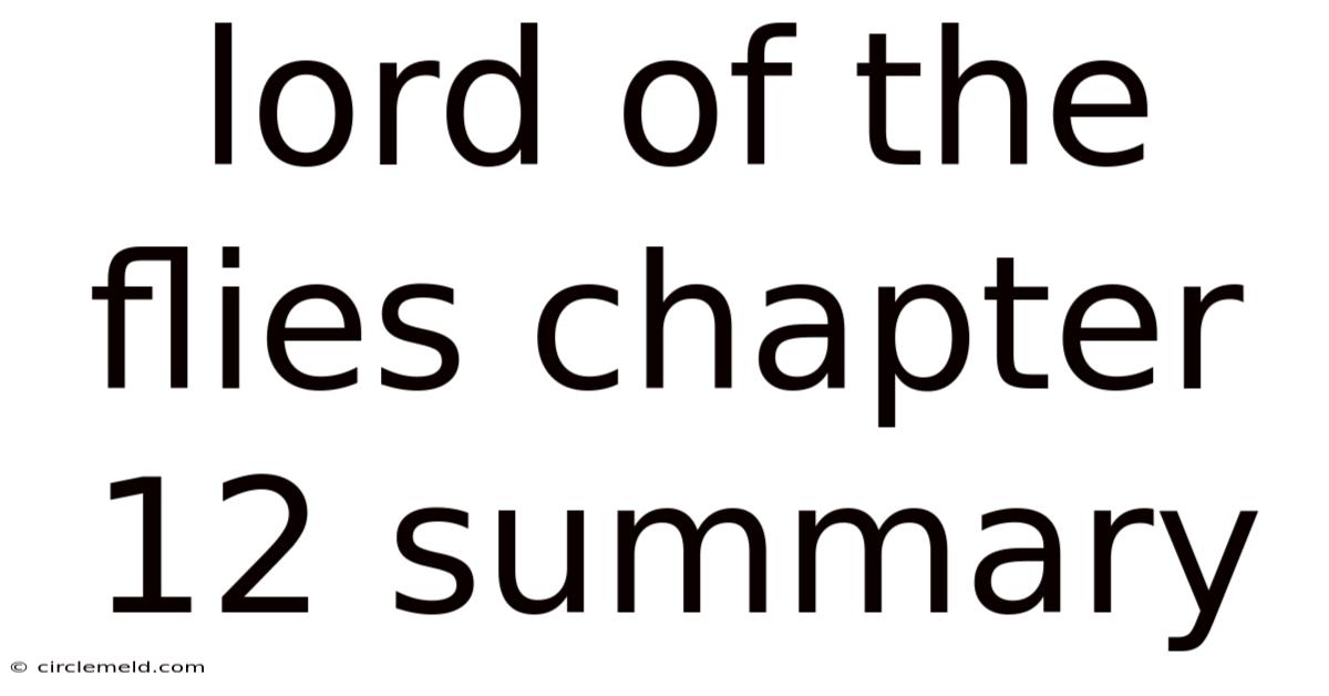 Lord Of The Flies Chapter 12 Summary