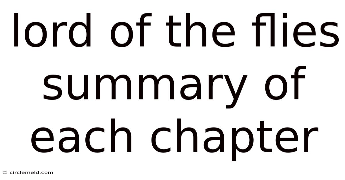 Lord Of The Flies Summary Of Each Chapter