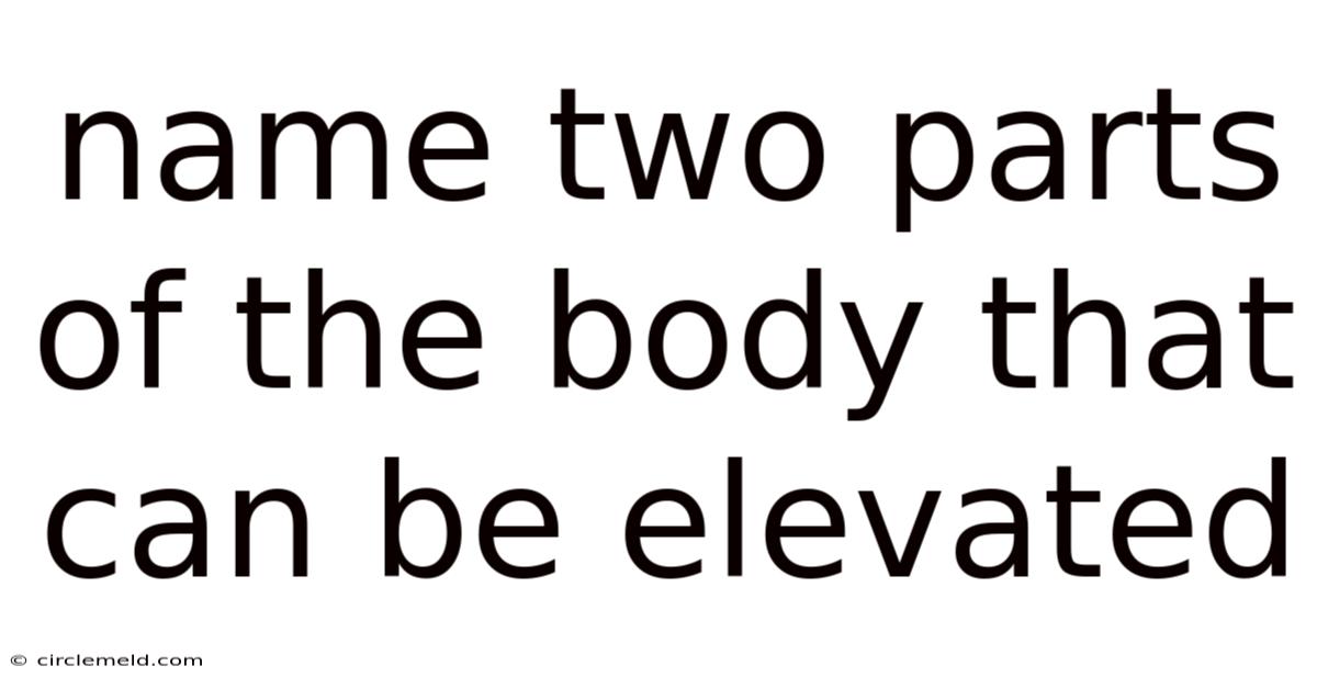 Name Two Parts Of The Body That Can Be Elevated