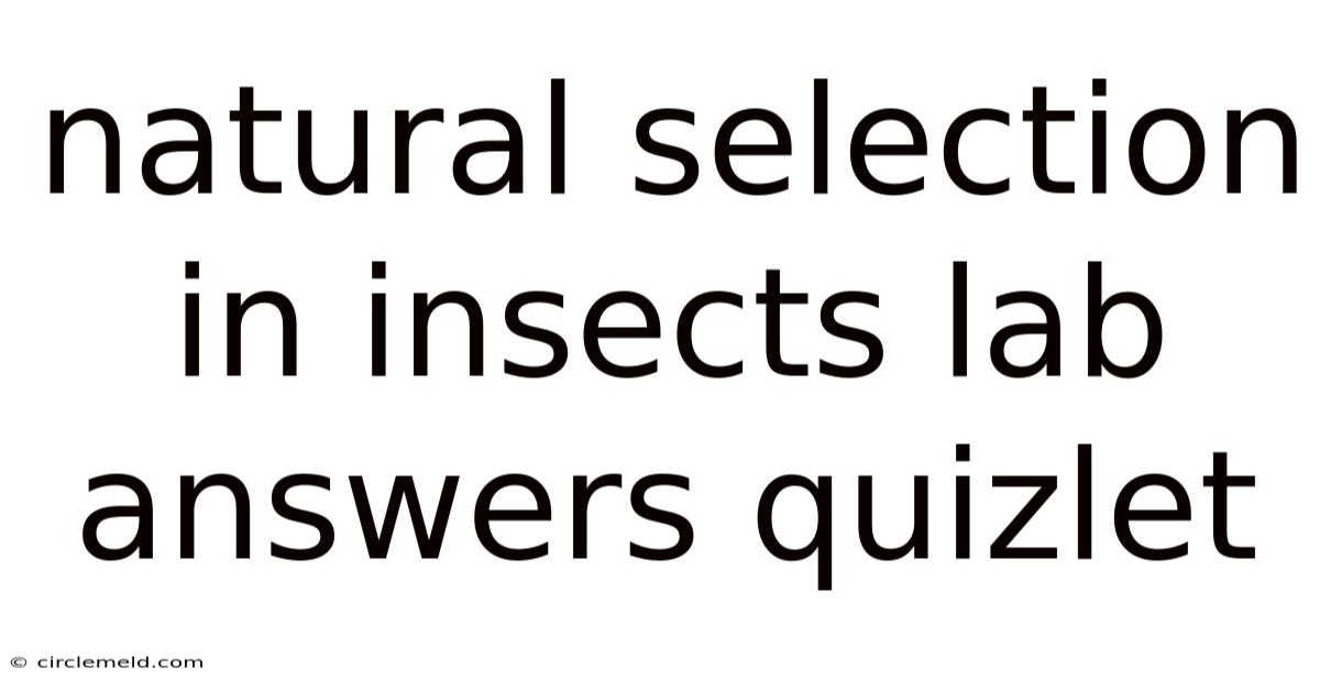 Natural Selection In Insects Lab Answers Quizlet