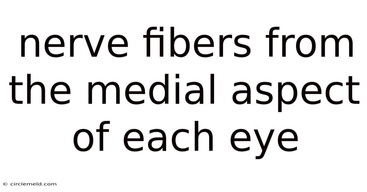 Nerve Fibers From The Medial Aspect Of Each Eye