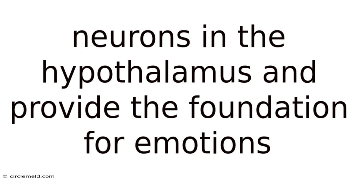 Neurons In The Hypothalamus And Provide The Foundation For Emotions
