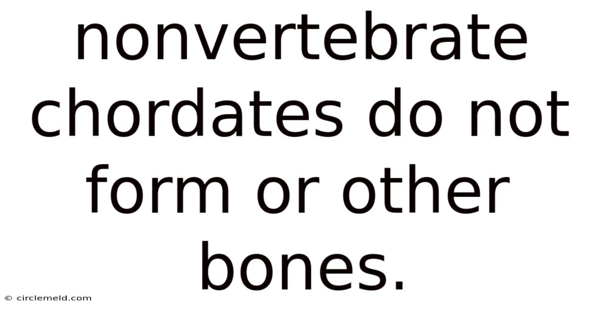 Nonvertebrate Chordates Do Not Form Or Other Bones.