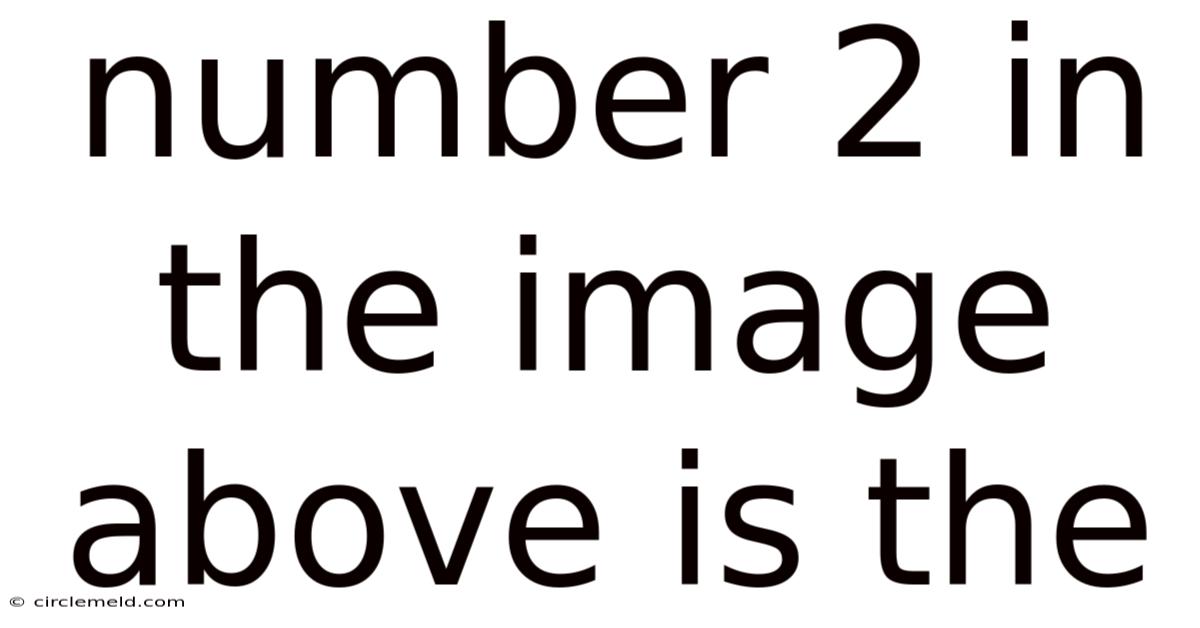 Number 2 In The Image Above Is The