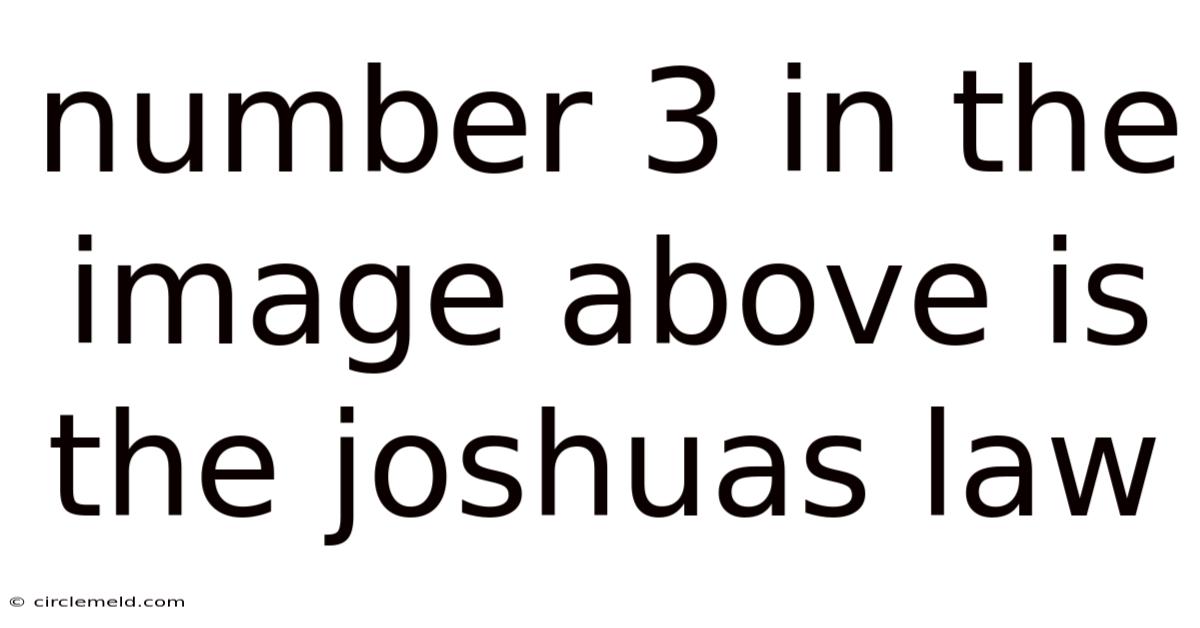 Number 3 In The Image Above Is The Joshuas Law
