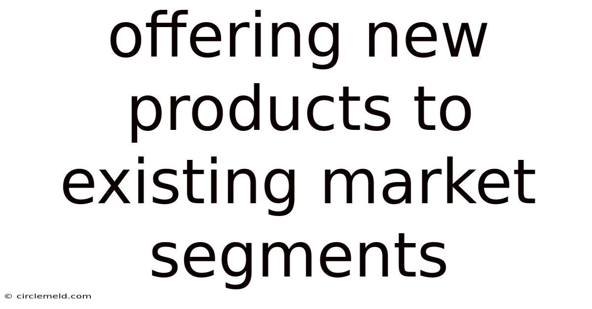 Offering New Products To Existing Market Segments