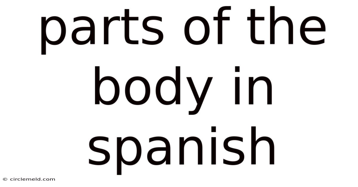 Parts Of The Body In Spanish