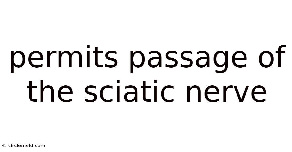 Permits Passage Of The Sciatic Nerve