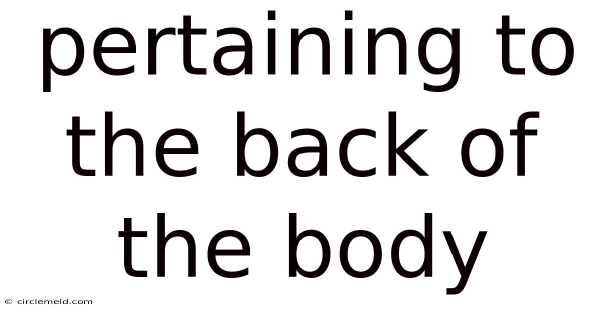 Pertaining To The Back Of The Body