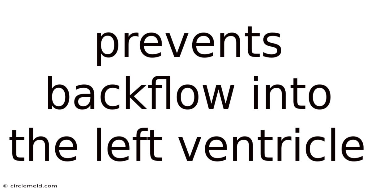 Prevents Backflow Into The Left Ventricle