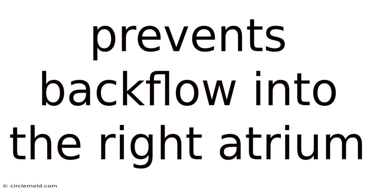 Prevents Backflow Into The Right Atrium