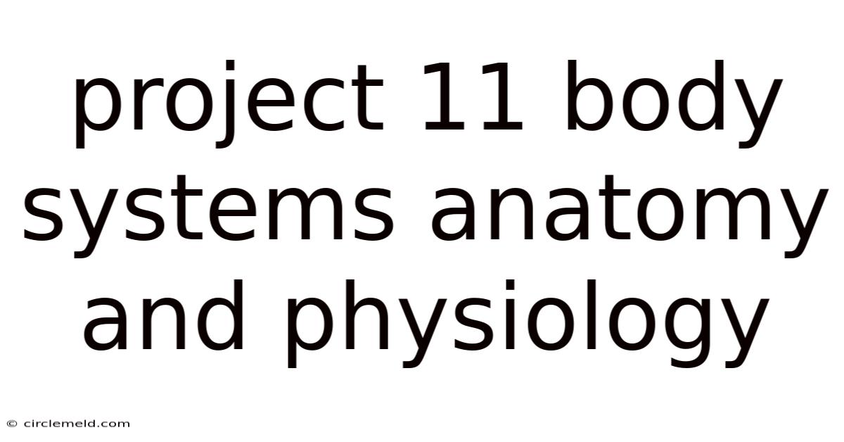 Project 11 Body Systems Anatomy And Physiology