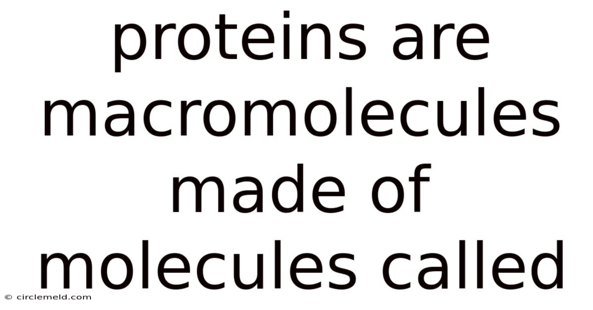 Proteins Are Macromolecules Made Of Molecules Called