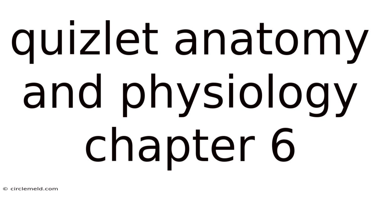 Quizlet Anatomy And Physiology Chapter 6