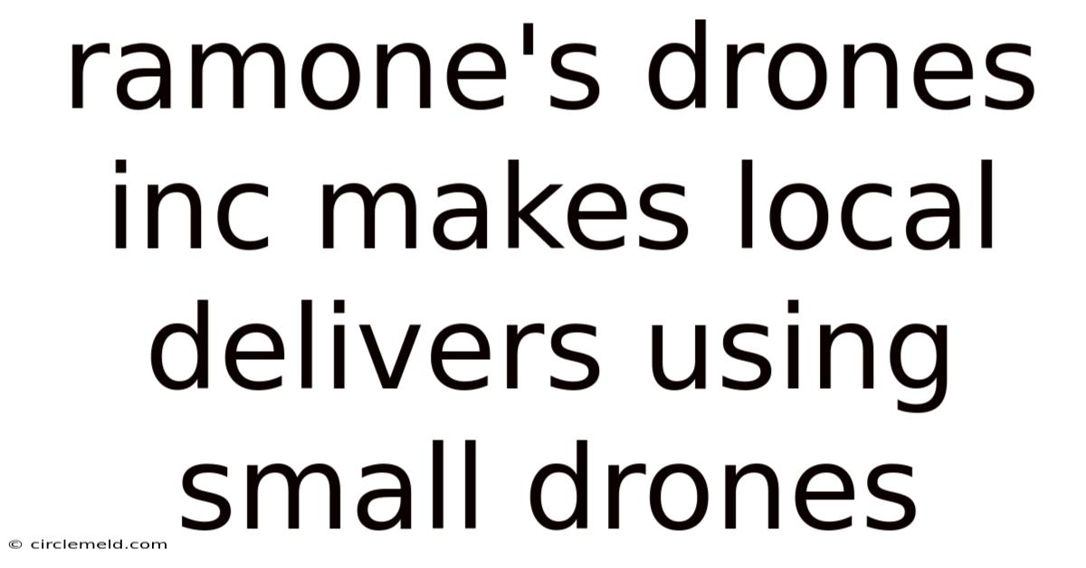 Ramone's Drones Inc Makes Local Delivers Using Small Drones