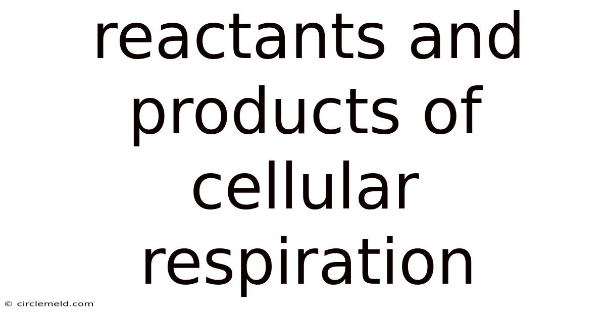 Reactants And Products Of Cellular Respiration